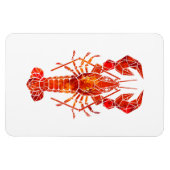 Magnet Flexible Phomard polygonal rouge (Horizontal)