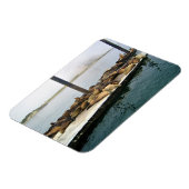 Magnet Flexible Phoques du port, Morro Bay, Californie (Côté Gauche)