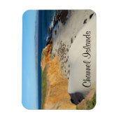 Magnet Flexible Phoques éléphants, île San Miguel, îles Channel (Vertical)