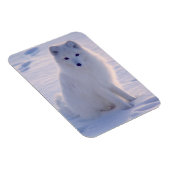 Magnet Flexible Photo Arctic Winter Fox conçue (Côté Droit)