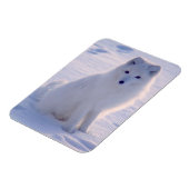 Magnet Flexible Photo Arctic Winter Fox conçue (Côté Gauche)