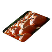 Magnet Flexible Photo citrouille pour automne, Halloween ou Thanks (Côté Gauche)