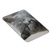 Magnet Flexible Photo Cute Gray Kitty Visage (Côté Droit)