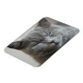 Magnet Flexible Photo Cute Gray Kitty Visage (Côté Gauche)