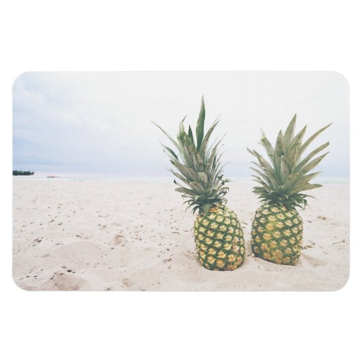 Magnet Flexible Photo de 2 ananas sur une plage (Horizontal)