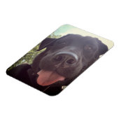 Magnet Flexible Photo de chien Selfie Black Lab (Côté Gauche)