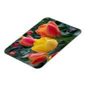Magnet Flexible Photo de jardin de tulipes jaunes et rouges vibran (Côté Gauche)