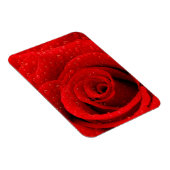 Magnet Flexible Photo de Red Rose Arrière - plan (Côté Droit)