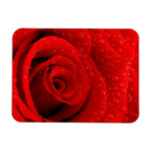 Magnet Flexible Photo de Red Rose Arrière - plan (Horizontal)