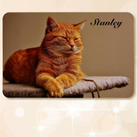 Photo de votre Modèle pour animaux de compagnie Aj