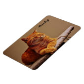 Magnet Flexible Photo de votre Modèle pour animaux de compagnie Aj (Côté Gauche)