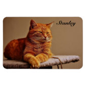 Magnet Flexible Photo de votre Modèle pour animaux de compagnie Aj (Horizontal)