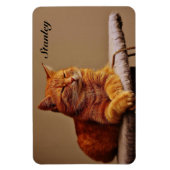 Magnet Flexible Photo de votre Modèle pour animaux de compagnie Aj (Vertical)