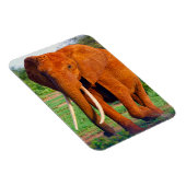 Magnet Flexible Photo d'éléphant d'Afrique adulte (Côté Droit)