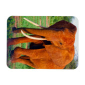 Magnet Flexible Photo d'éléphant d'Afrique adulte (Horizontal)