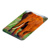Magnet Flexible Photo d'éléphant d'Afrique adulte (Côté Gauche)