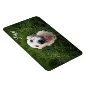 Magnet Flexible Photo Dog Ajouter un nom Easy Modèle Pet Chiot (Côté Droit)
