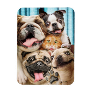 Magnet Flexible Photo d'un groupe de chiens et de chats