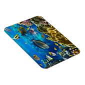 Magnet Flexible Photo d'un poisson tropical sur une barrière de co (Côté Droit)