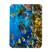 Magnet Flexible Photo d'un poisson tropical sur une barrière de co (Vertical)