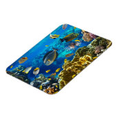 Magnet Flexible Photo d'un poisson tropical sur une barrière de co (Côté Gauche)