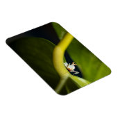 Magnet Flexible Photo d'une jeune orchidée (Côté Droit)