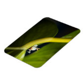 Magnet Flexible Photo d'une jeune orchidée (Côté Gauche)