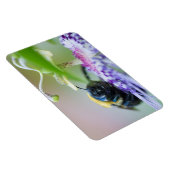 Magnet Flexible Photo macro de Bumble Bee (Côté Droit)