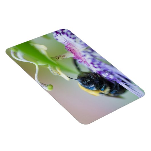 Magnet Flexible Photo macro de Bumble Bee (Côté Droit)
