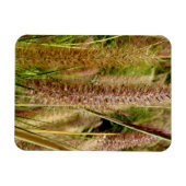 Magnet Flexible Photo macro de l'herbe de Foxtail (Horizontal)