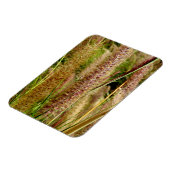 Magnet Flexible Photo macro de l'herbe de Foxtail (Côté Gauche)