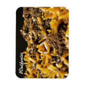 Magnet Flexible Photo minérale Wulfenite (Vertical)