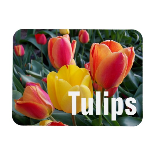 Magnet Flexible Photo personnalisée (Horizontal)