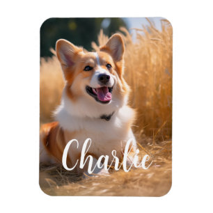 Magnet Flexible Photo personnalisée avec animal de compagnie avec