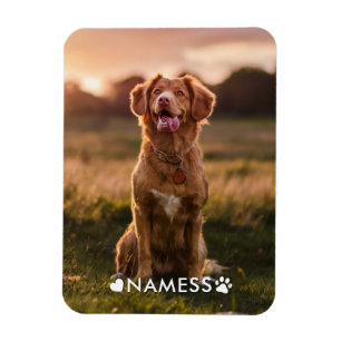 Magnet Flexible Photo personnalisée avec le nom de votre chien