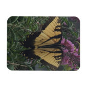 Magnet Flexible Photo personnelle de Yellow et Black Butterfly (Horizontal)
