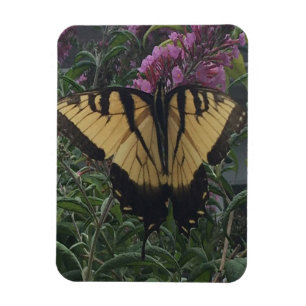 Magnet Flexible Photo personnelle de Yellow et Black Butterfly
