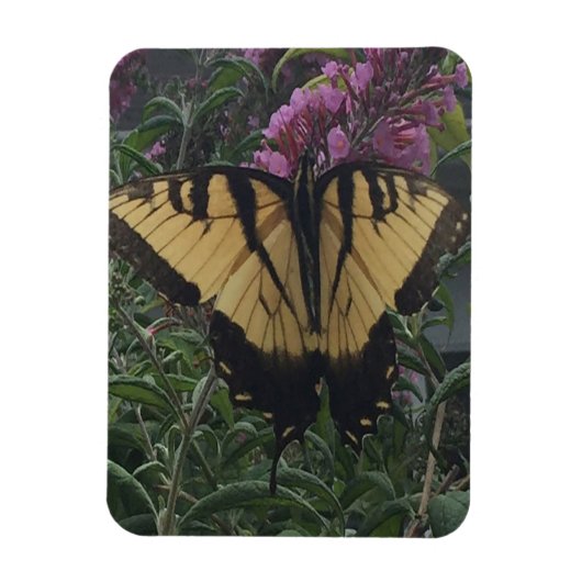 Magnet Flexible Photo personnelle de Yellow et Black Butterfly (Vertical)