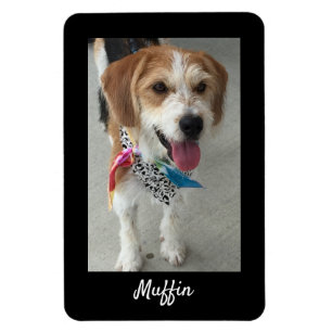 Magnet Flexible Photo pour animaux de compagnie ou photo et nom de