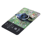 Magnet Flexible Photo pour animaux de compagnie - Photo pour chien (Côté Gauche)