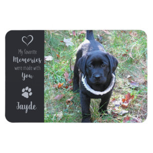 Magnet Flexible Photo pour animaux de compagnie - Photo pour chien