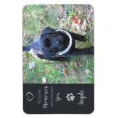 Magnet Flexible Photo pour animaux de compagnie - Photo pour chien (Vertical)