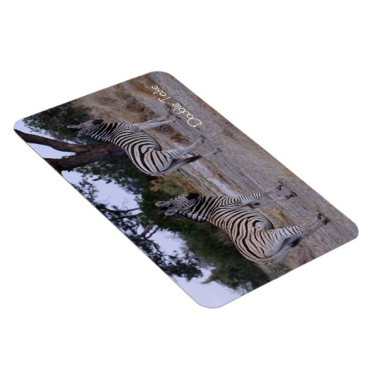Magnet Flexible Photo Zebra Double Take (Côté Droit)