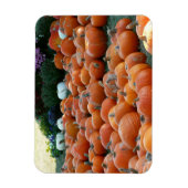 Magnet Flexible Photographie de récolte d'automne des citrouilles (Vertical)