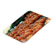 Magnet Flexible Photographie de récolte d'automne des citrouilles (Côté Gauche)