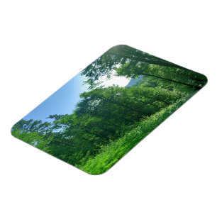 Magnet Flexible Photographie du paysage de la forêt verte