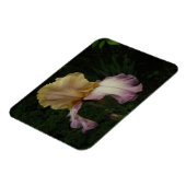 Magnet Flexible Photographie florale Iris (Côté Gauche)