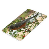 Magnet Flexible Photographies : oiseaux - (Côté Gauche)