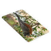 Magnet Flexible Photographies : oiseaux - (Côté Droit)