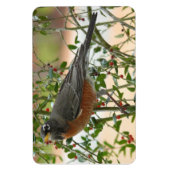 Magnet Flexible Photographies : oiseaux - (Vertical)